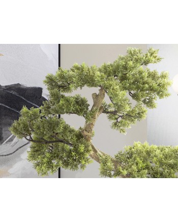 BANKAN - BONSAI 75CM